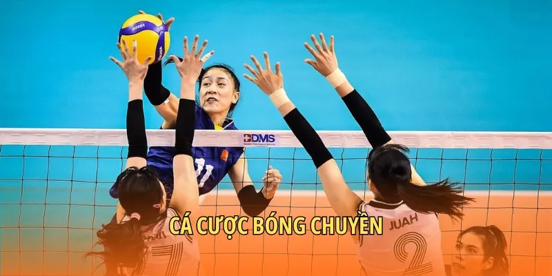 Cá cược bóng chuyền