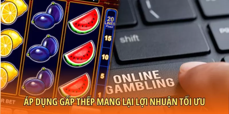 Áp dụng gấp thếp mang lại lợi nhuận tối ưu