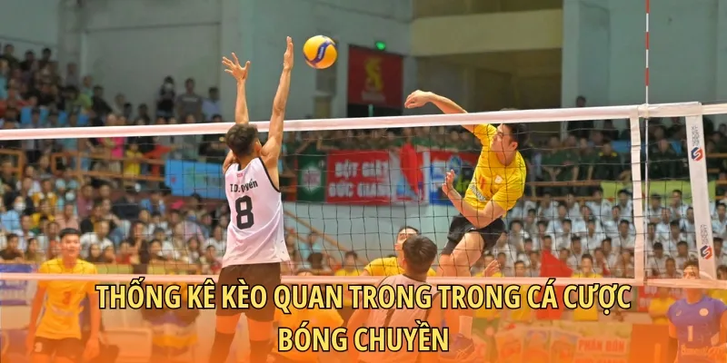 Thống kê kèo quan trong trong cá cược bóng chuyền