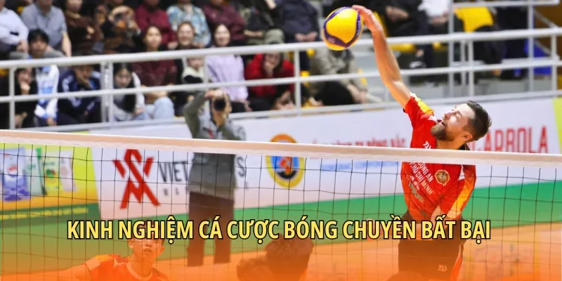 Kinh nghiệm cá cược bóng chuyền bất bại
