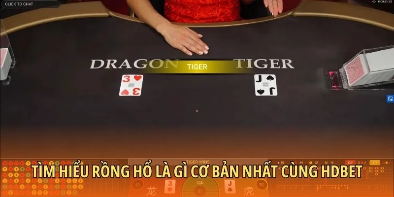 Tìm hiểu Rồng Hổ là gì cơ bản nhất cùng HDBET