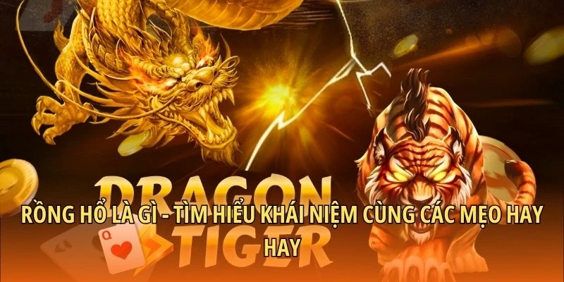 Rồng Hổ là gì